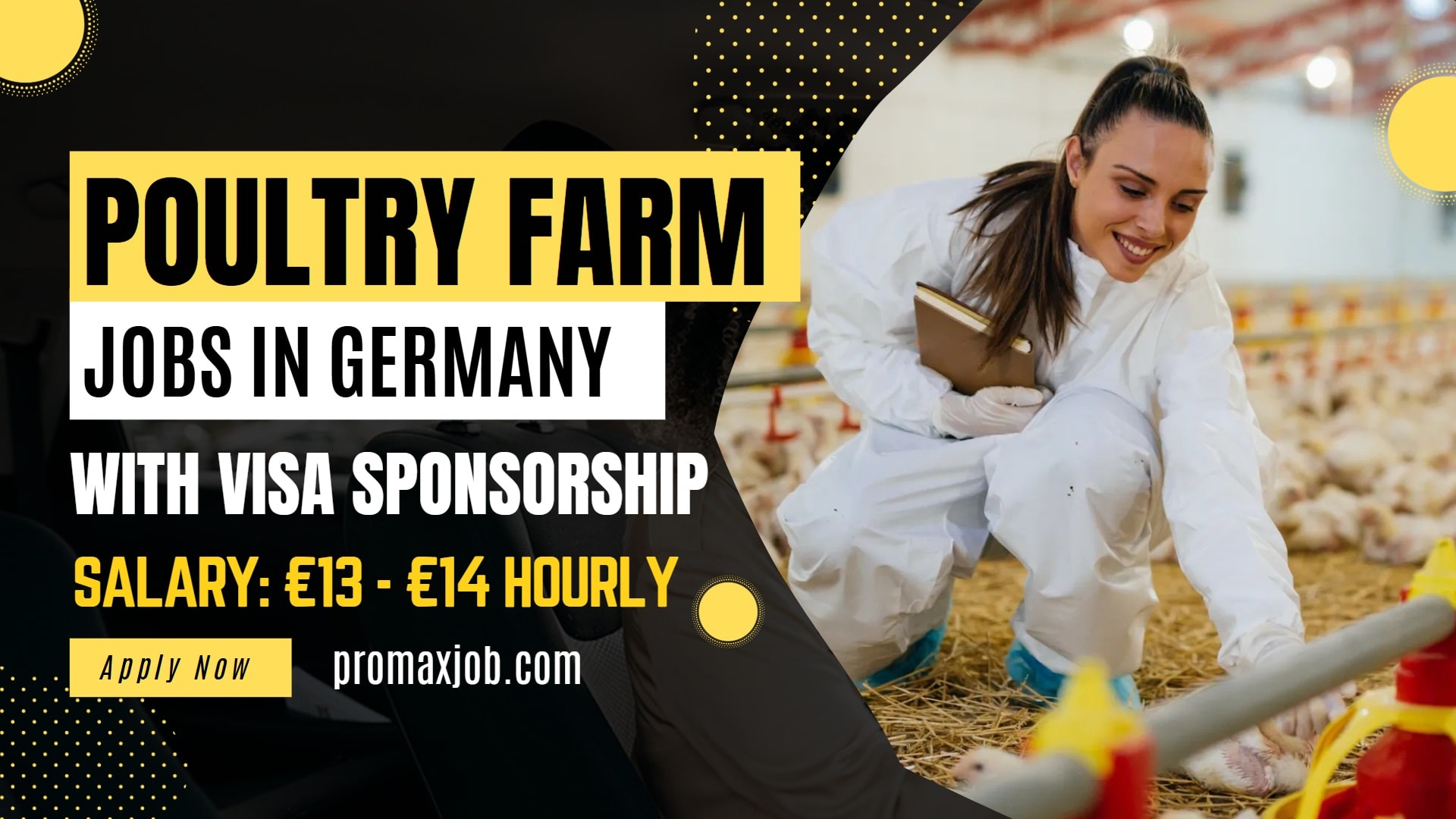 Poultry Farm Jobs in Germany